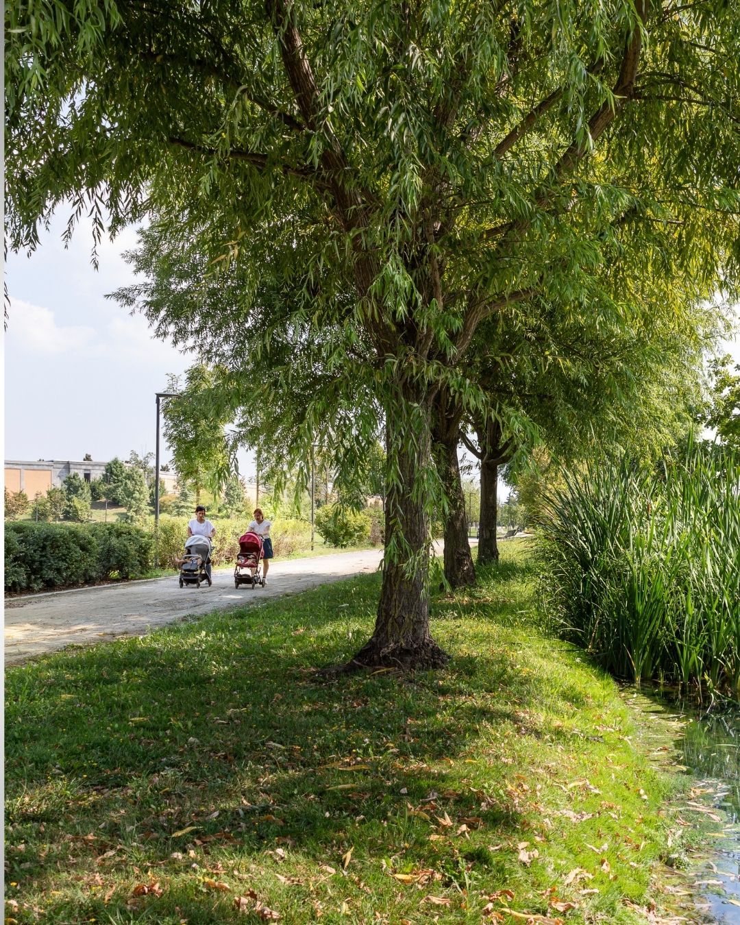 Vivi UpTown prima di comprare casa: sabato 28 marzo open day e infiorata di primavera