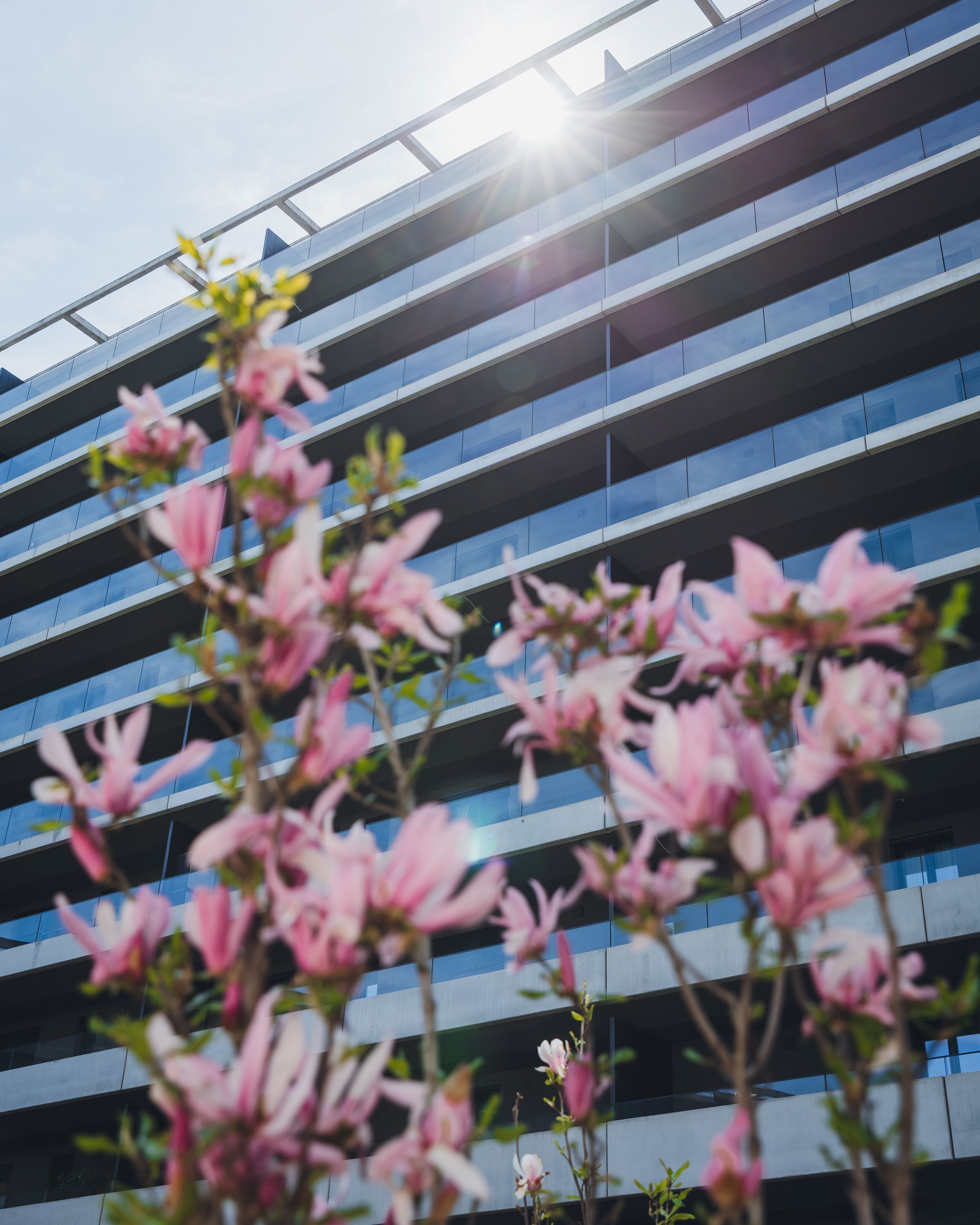 Vivi UpTown: il 9 e 10 maggio open days e raduno di auto d’epoca