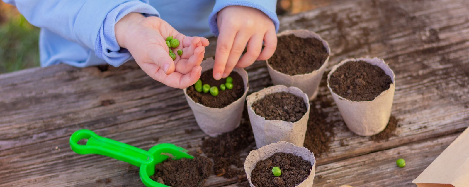 Alla scoperta della terra: piantiamo il nostro seme