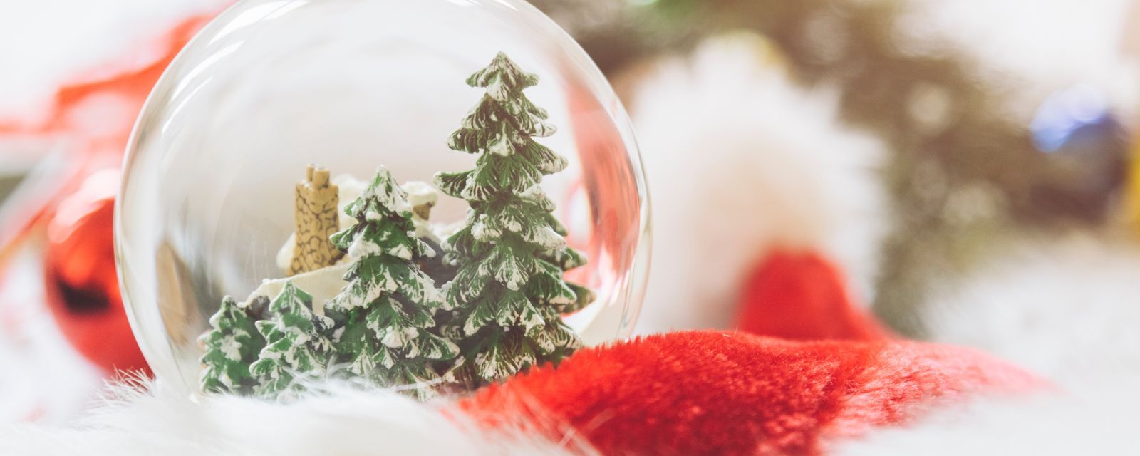 Boule de neige: paesaggi innevati in miniatura