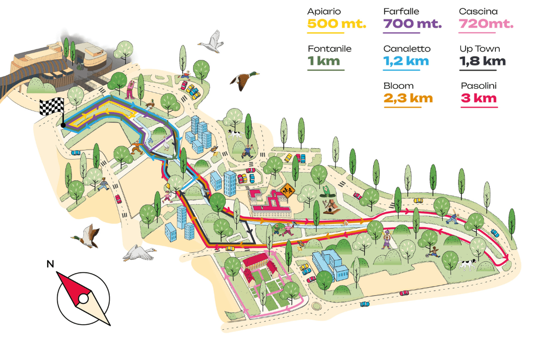 CARD GROSSA NEWSLETTER (1).png