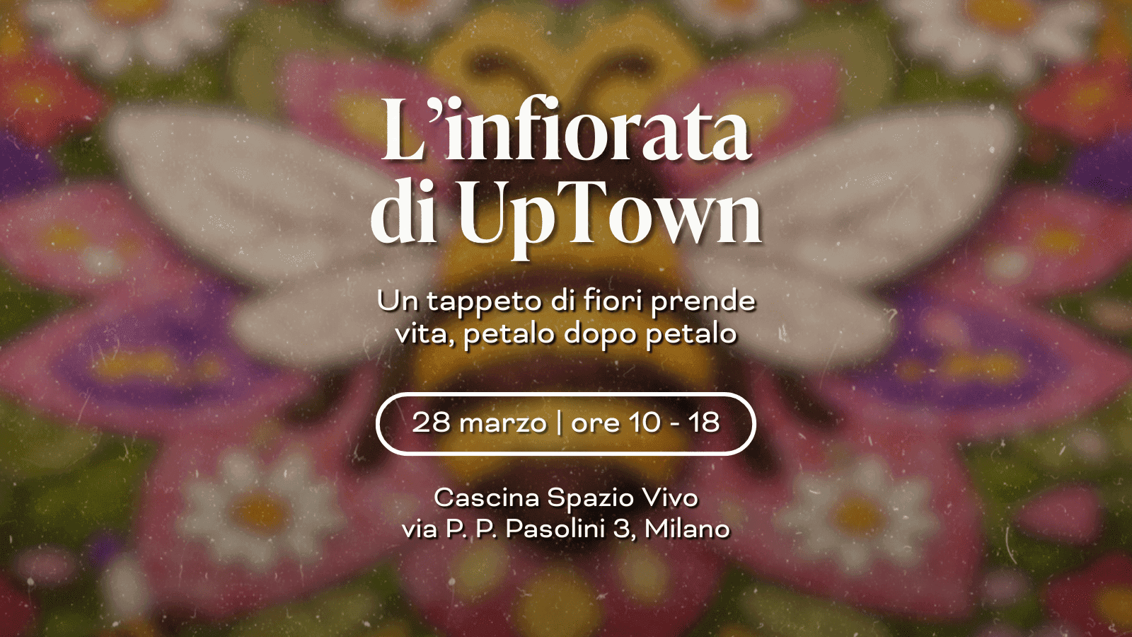 Copia di save the date infiorata (2) (1).png