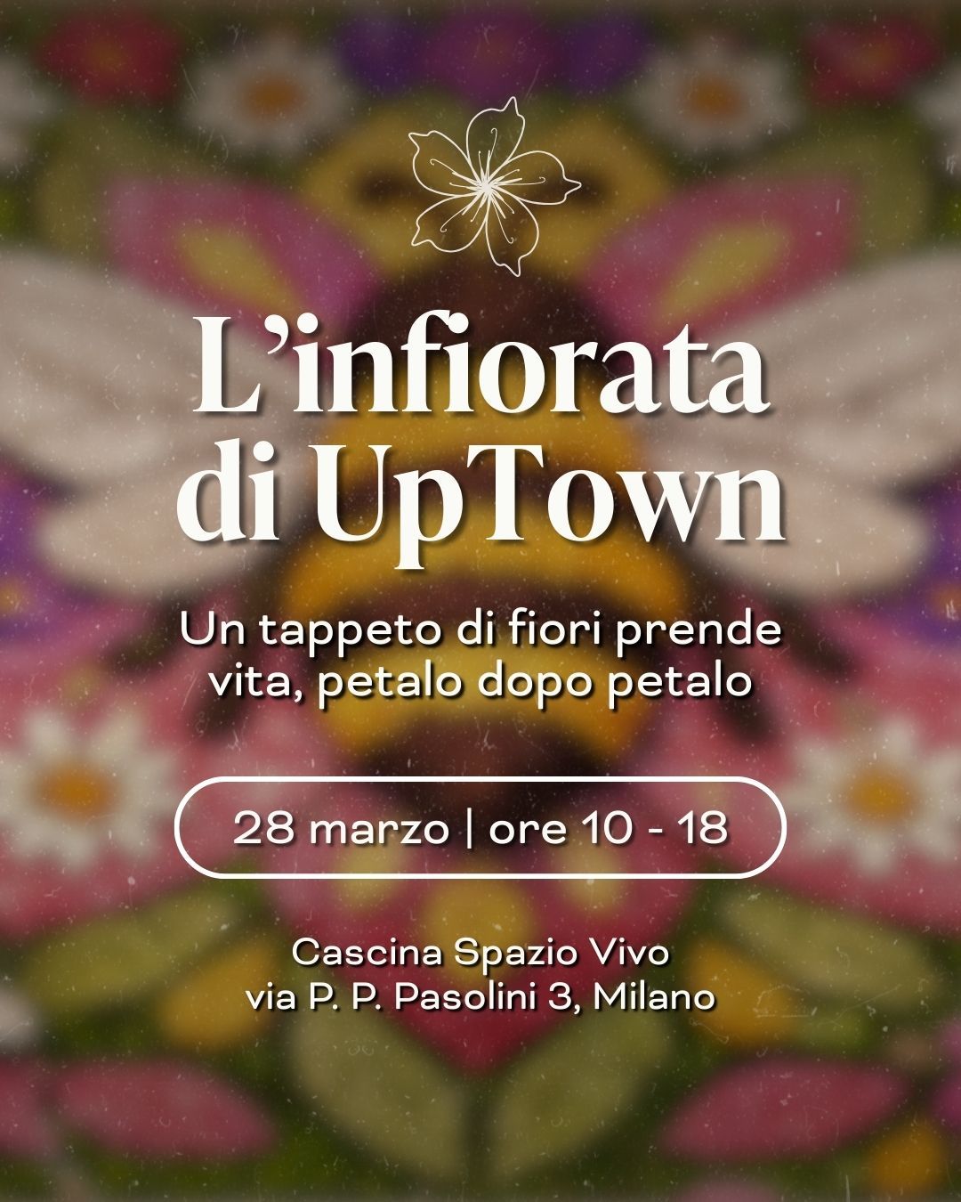 INFIORATA.jpg