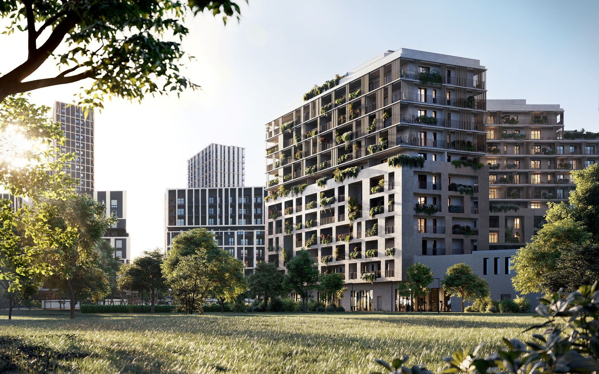 compressed-BF2 (1).jpg