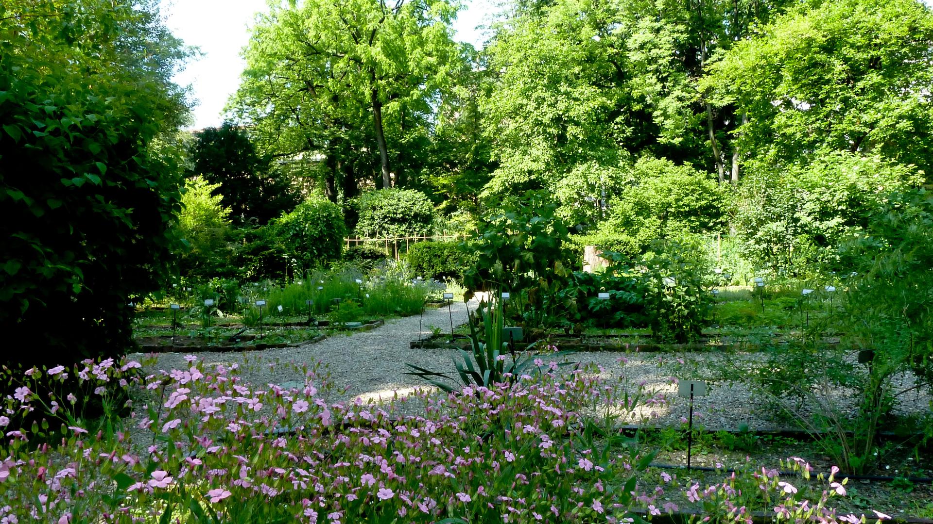 Orto Botanico di Brera, a Milano